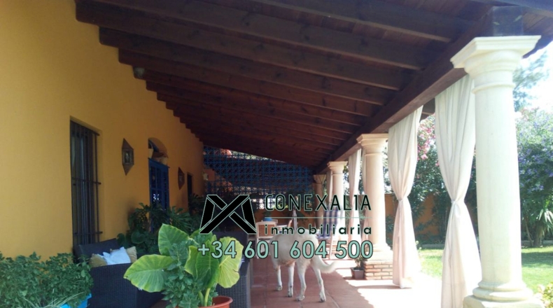 Sevilla - Los Palacios y Villafranca - 4000m2