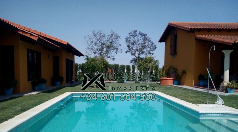 Sevilla - Los Palacios y Villafranca - 4000m2
