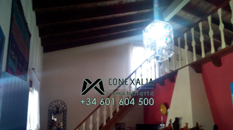 Sevilla - Los Palacios y Villafranca - 4000m2