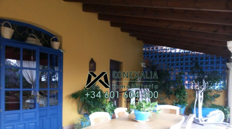Sevilla - Los Palacios y Villafranca - 4000m2