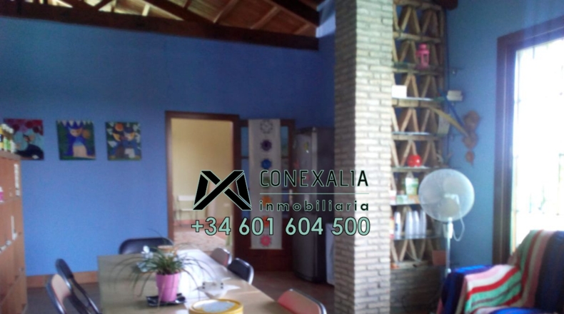 Sevilla - Los Palacios y Villafranca - 4000m2