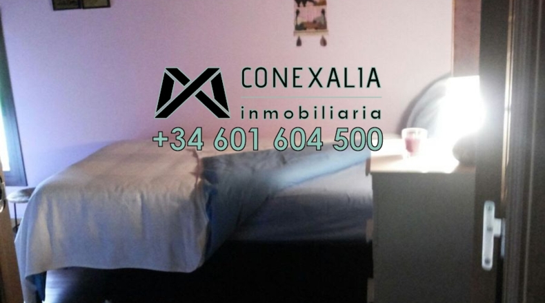 Sevilla - Los Palacios y Villafranca - 4000m2