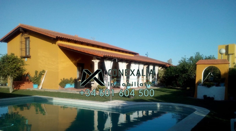 Sevilla - Los Palacios y Villafranca - 4000m2