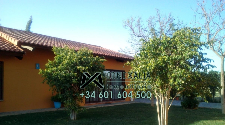 Sevilla - Los Palacios y Villafranca - 4000m2