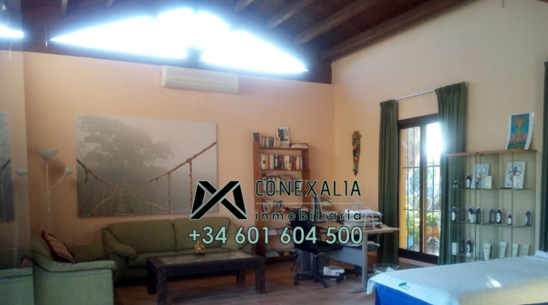 Sevilla - Los Palacios y Villafranca - 4000m2