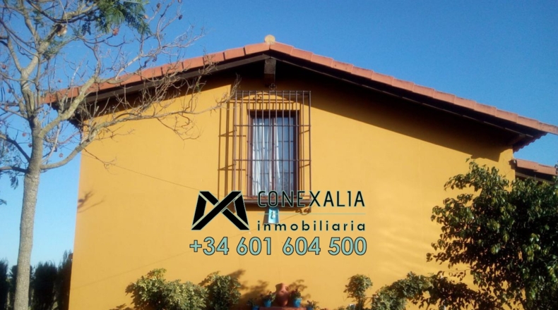 Sevilla - Los Palacios y Villafranca - 4000m2