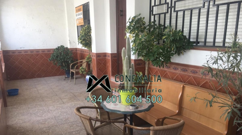 Cádiz - Algodonales - 196m2