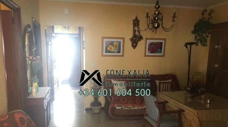 Cádiz - Algodonales - 196m2