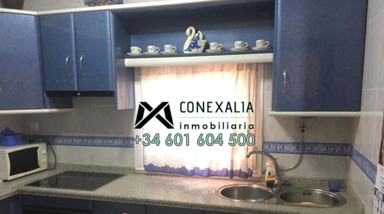 Cádiz - Algodonales - 196m2