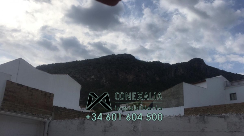Cádiz - Algodonales - 196m2