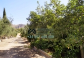 Chalet independiente con terreno en venta en Torre Alháquime ref: TR23185 foto