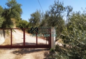 Chalet independiente con terreno en venta en Torre Alháquime ref: TR23185 foto