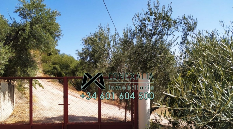 Cádiz - Torre Alháquime - 50000m2
