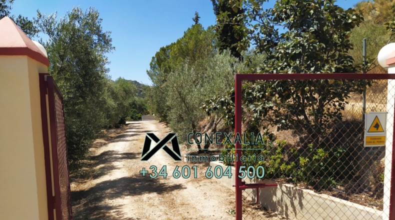 Cádiz - Torre Alháquime - 50000m2