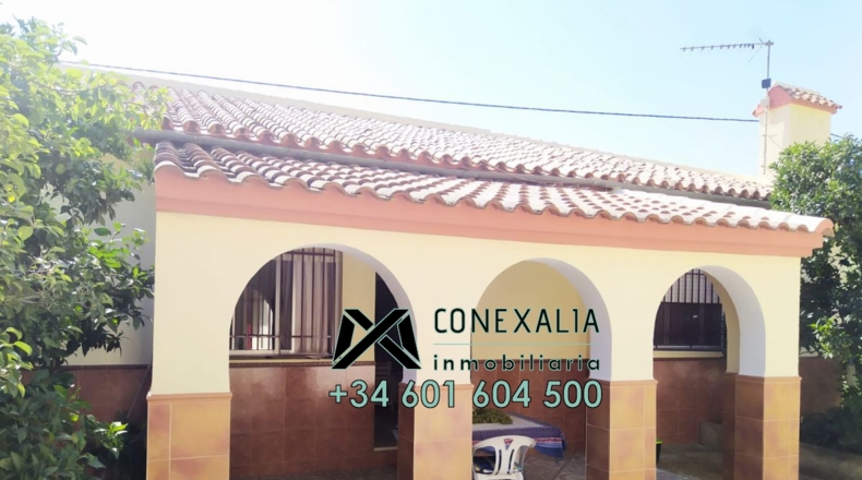 Cádiz - Torre Alháquime - 50000m2
