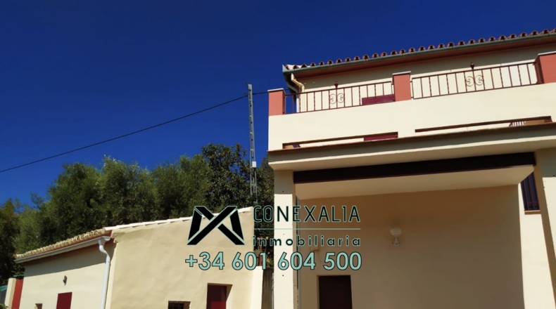 Cádiz - Torre Alháquime - 50000m2