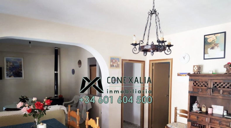 Cádiz - Torre Alháquime - 50000m2