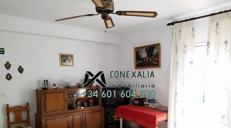 Cádiz - Torre Alháquime - 50000m2