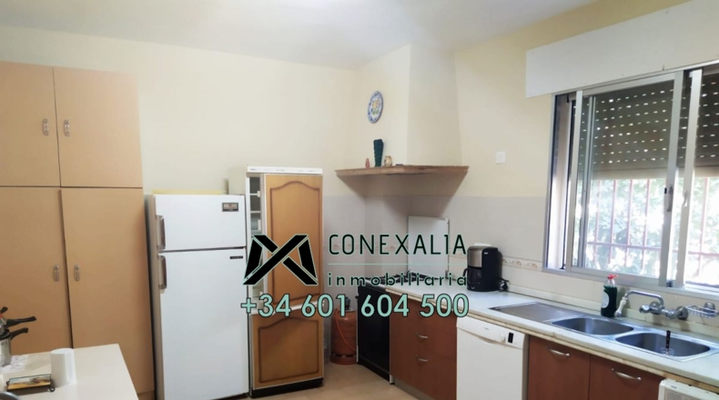 Cádiz - Torre Alháquime - 50000m2