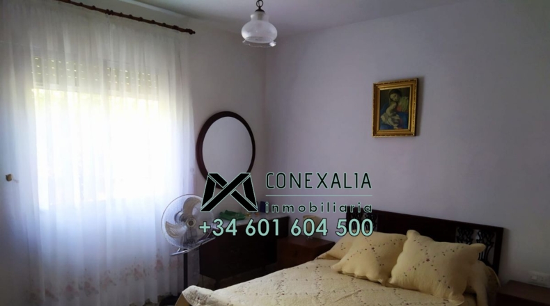 Cádiz - Torre Alháquime - 50000m2