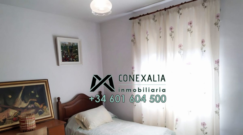 Cádiz - Torre Alháquime - 50000m2