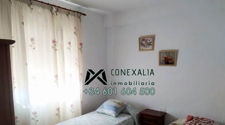 Cádiz - Torre Alháquime - 50000m2