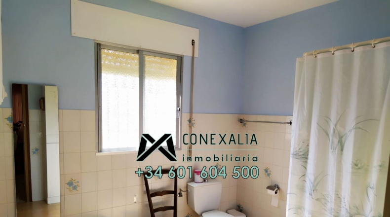 Cádiz - Torre Alháquime - 50000m2