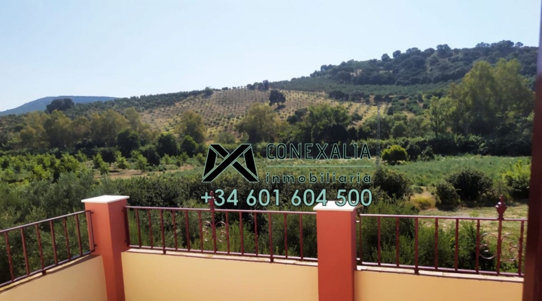 Cádiz - Torre Alháquime - 50000m2