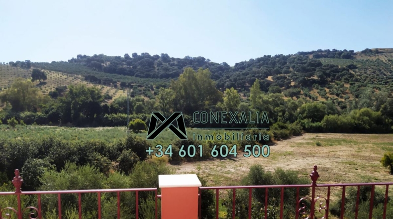 Cádiz - Torre Alháquime - 50000m2