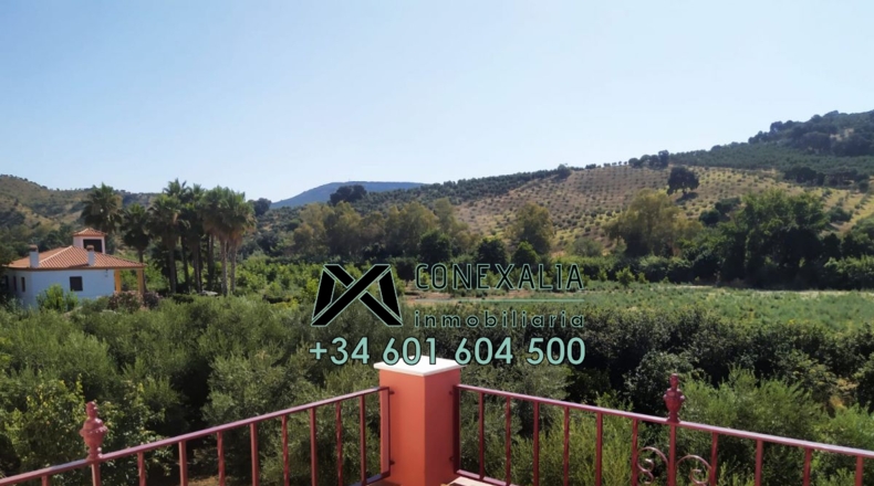Cádiz - Torre Alháquime - 50000m2