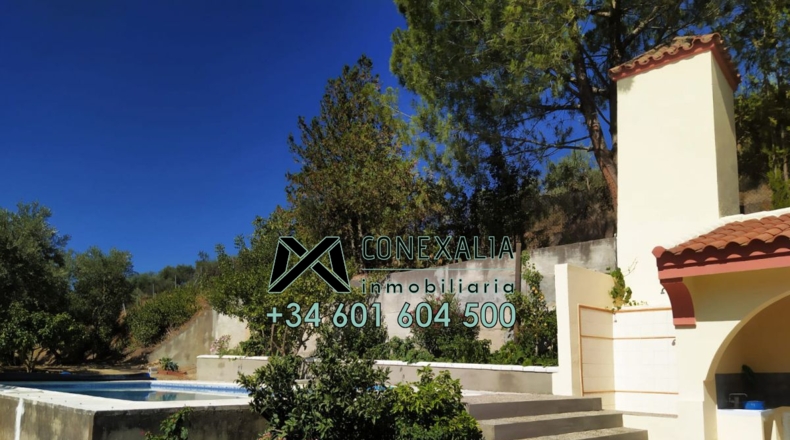 Cádiz - Torre Alháquime - 50000m2