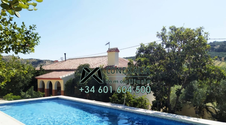 Cádiz - Torre Alháquime - 50000m2