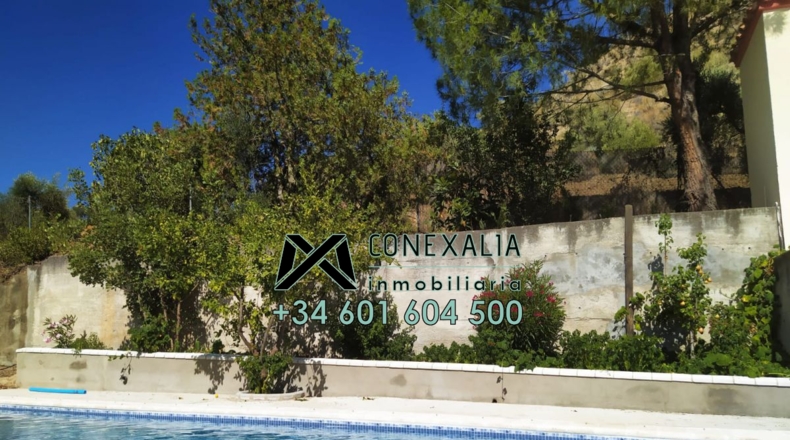 Cádiz - Torre Alháquime - 50000m2