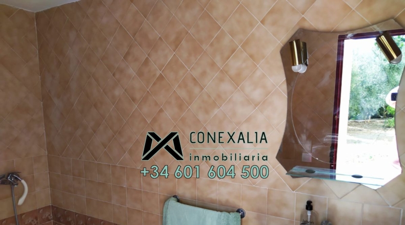 Cádiz - Torre Alháquime - 50000m2