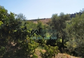 Chalet independiente con terreno en venta en Torre Alháquime ref: TR23185 foto
