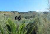 Chalet independiente con terreno en venta en Torre Alháquime ref: TR23185 foto