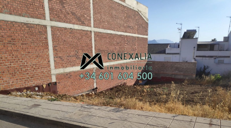 Cádiz - Olvera - 275m2