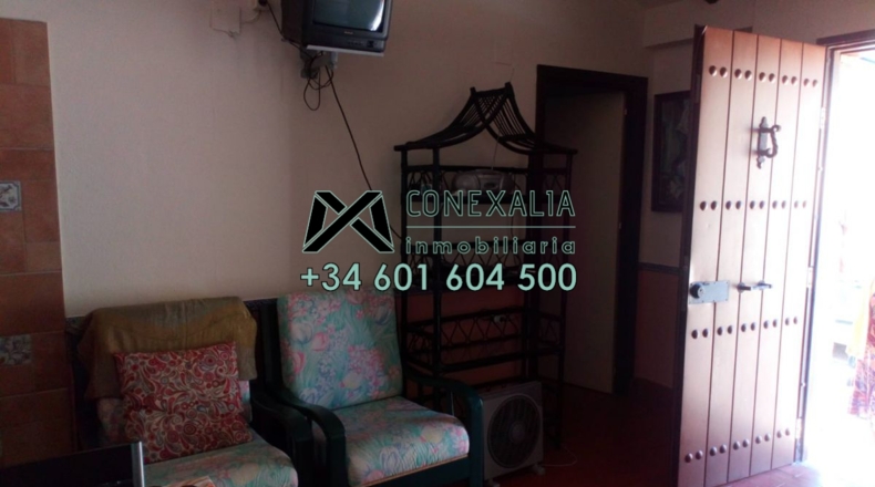 Cádiz - Algodonales - 200m2