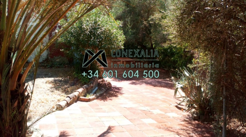 Cádiz - Algodonales - 200m2