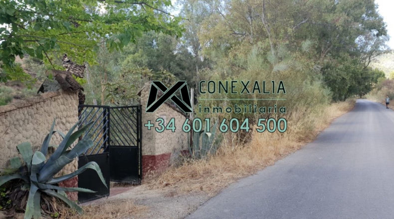 Cádiz - Algodonales - 200m2
