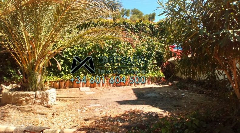 Cádiz - Algodonales - 200m2