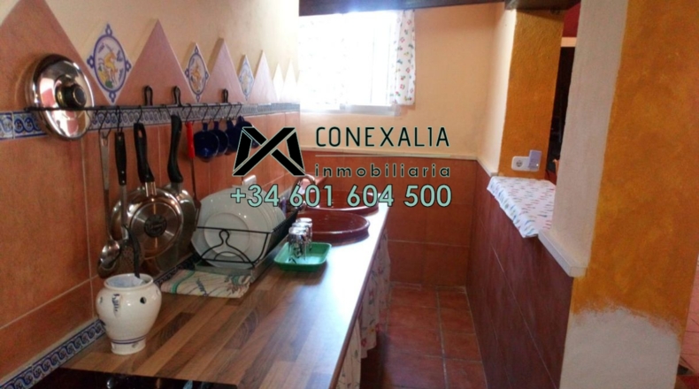 Cádiz - Algodonales - 200m2