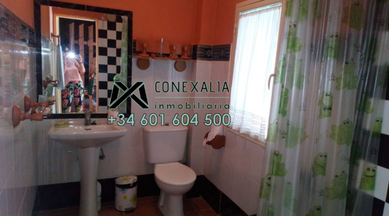 Cádiz - Algodonales - 200m2