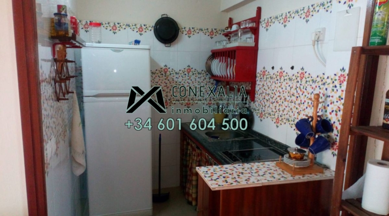 Cádiz - Algodonales - 200m2