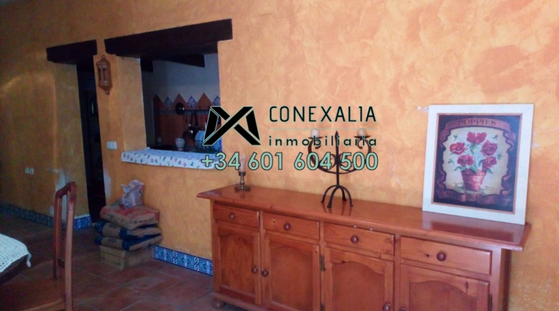 Cádiz - Algodonales - 200m2