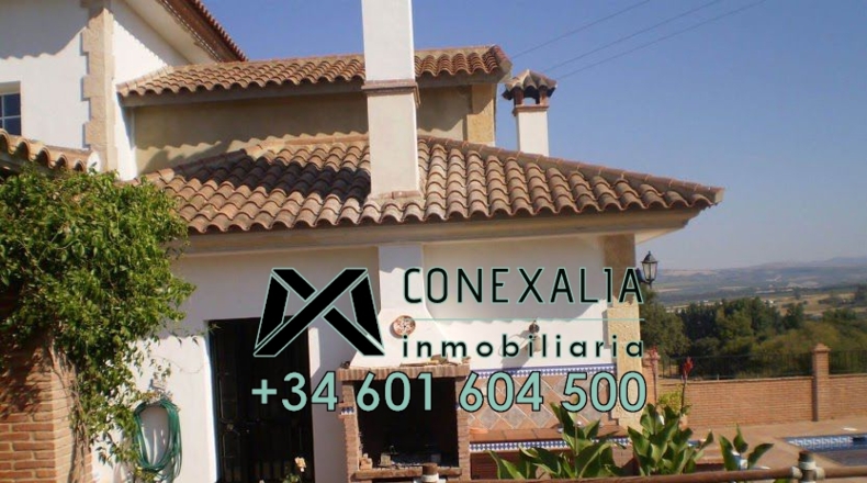 Cádiz - Setenil de las Bodegas - 11000m2