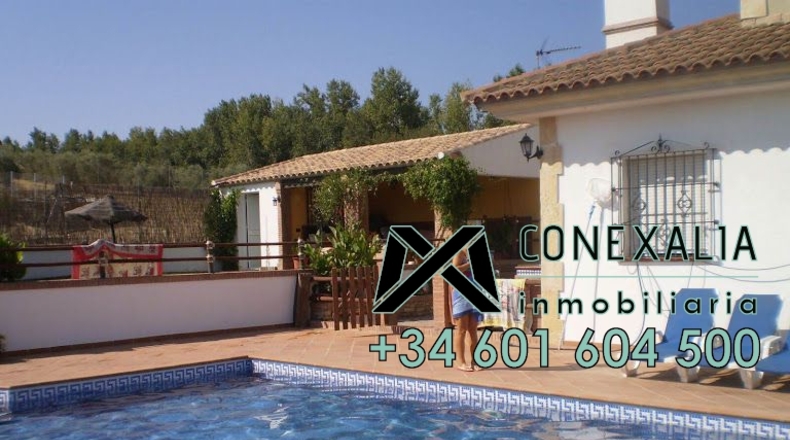 Cádiz - Setenil de las Bodegas - 11000m2