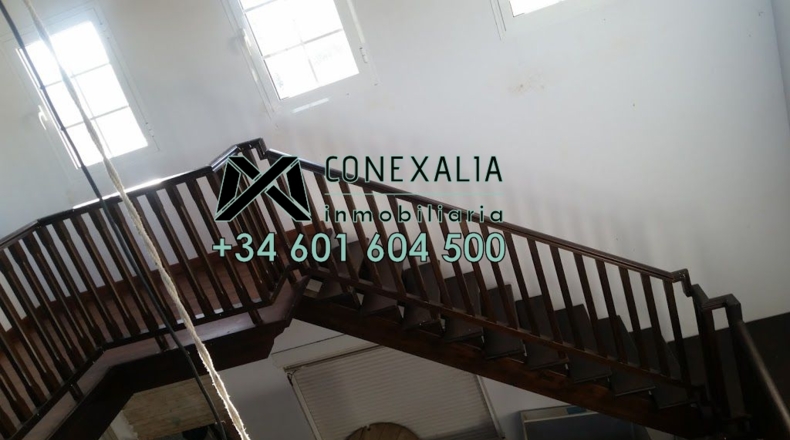 Cádiz - Setenil de las Bodegas - 11000m2
