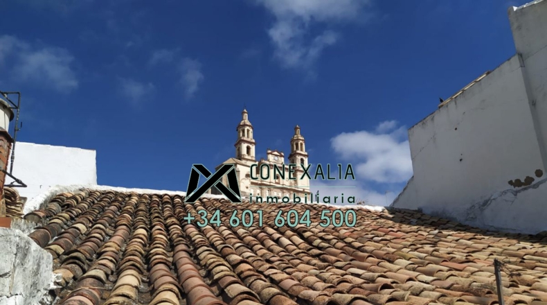 Cádiz - Olvera - 244m2