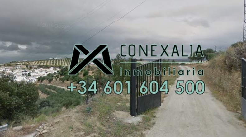 Cádiz - Setenil de las Bodegas - 10000m2